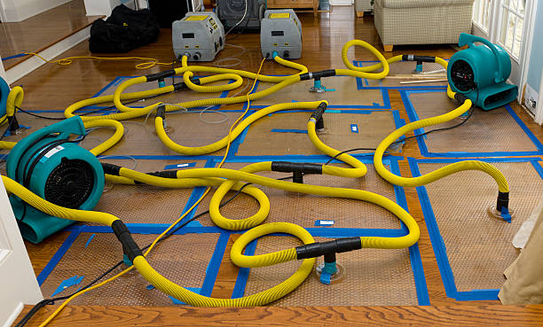 Professional Crawl Space Water Removal technician working in Southgate, FL